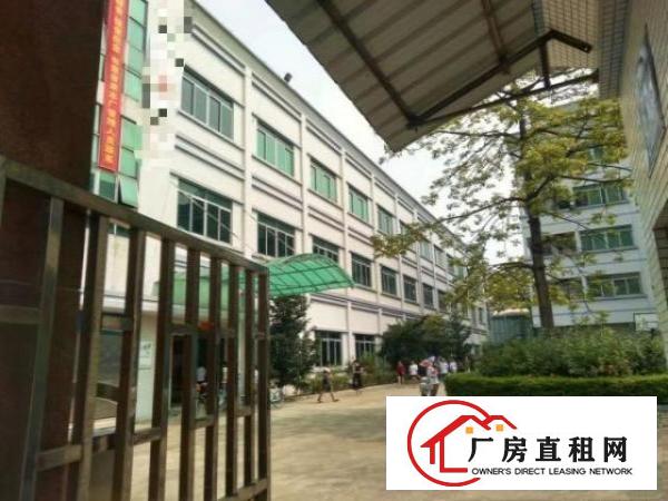  石碣镇原房东独院8700方