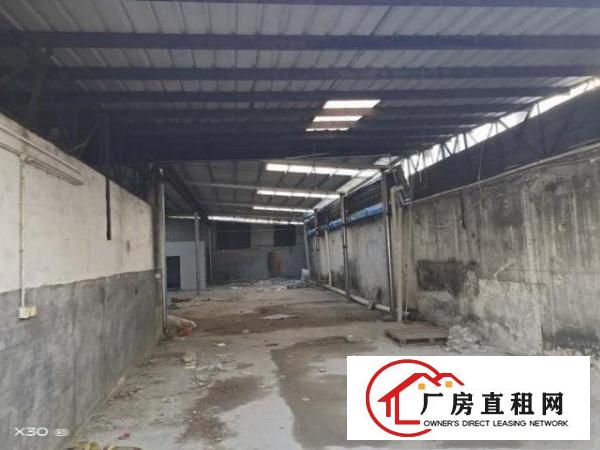  新出一楼独木独院钢构厂房