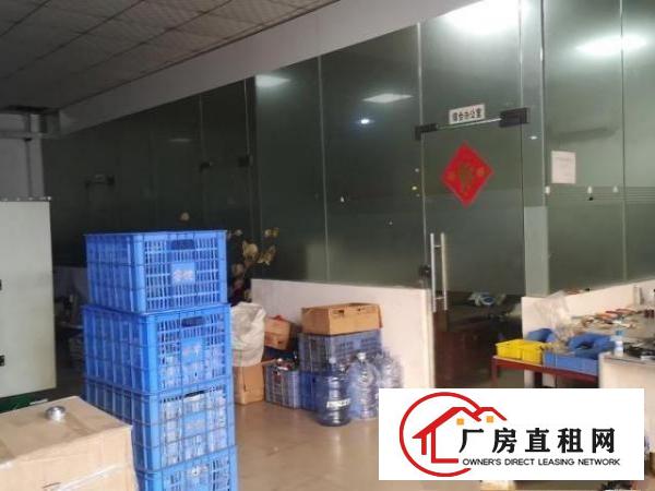  新出厂房石碣标准厂房一楼，有宿舍饭堂