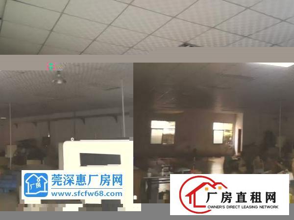  新出厂房石碣标准厂房一楼，有宿舍饭堂