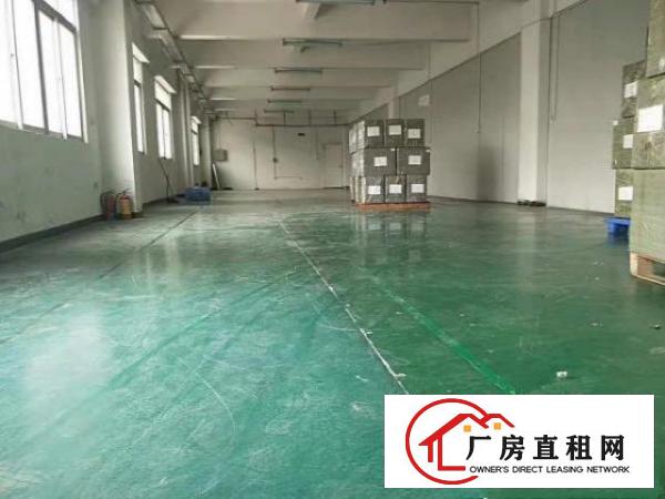  出租石碣石碣城区500平方小厂房，现成装修，水电齐全