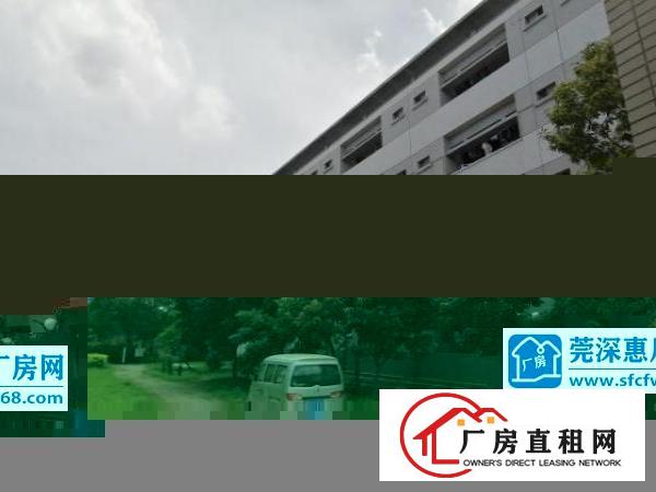  石碣原房东宿舍改厂房（改造中）出租：