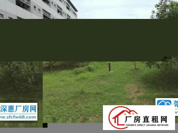  石碣原房东宿舍改厂房（改造中）出租：