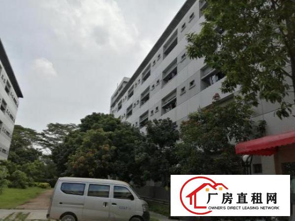  石碣原房东宿舍改厂房（改造中）出租：
