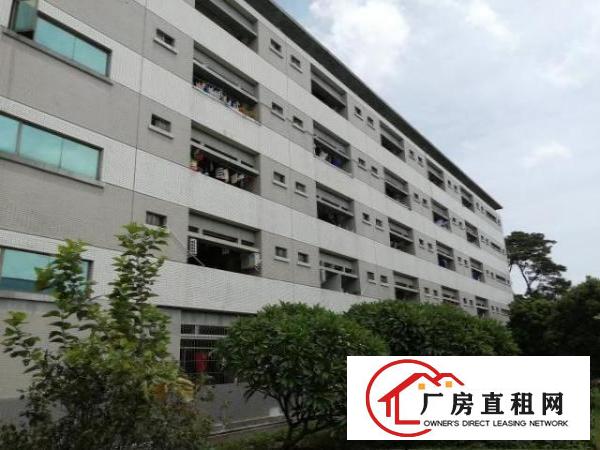  石碣原房东宿舍改厂房（改造中）出租：