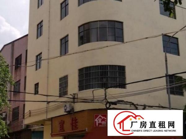  小工业园区厂房，大小可以分租，横滘有五百到一千方