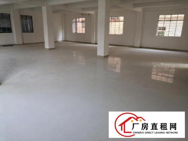  新建厂房，环城路及高速出入口附近，交通便利