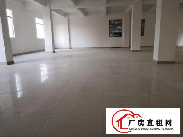  新建厂房，环城路及高速出入口附近，交通便利