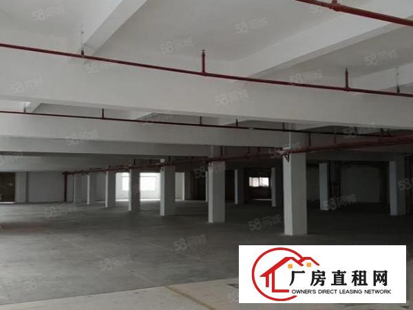  石碣豪华装修厂房出租