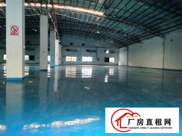  石碣镇工业区独院厂房招租一楼2000方现成装修全新地坪漆可分