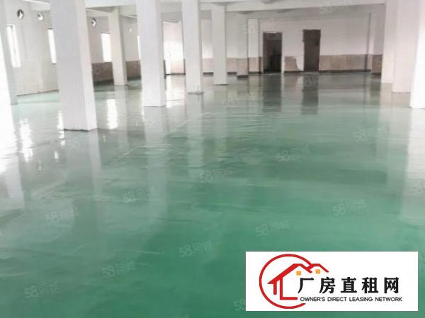  新出原房东豪华装修标准厂房