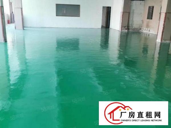  新出原房东豪华装修标准厂房