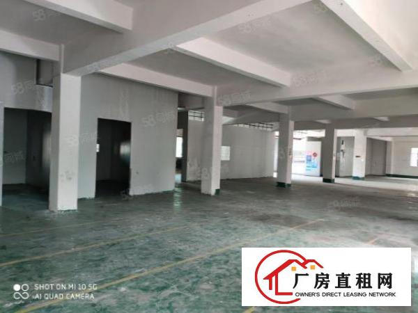  石碣原房东新出二层800平方可办环评易招工