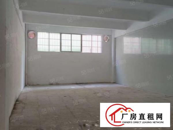  横窖新出一楼标准厂房