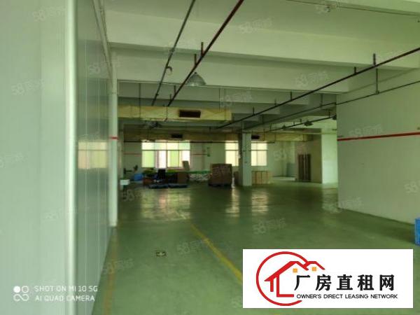  石碣原房东新出四楼非顶楼独门独院双电梯配备齐全交通方便