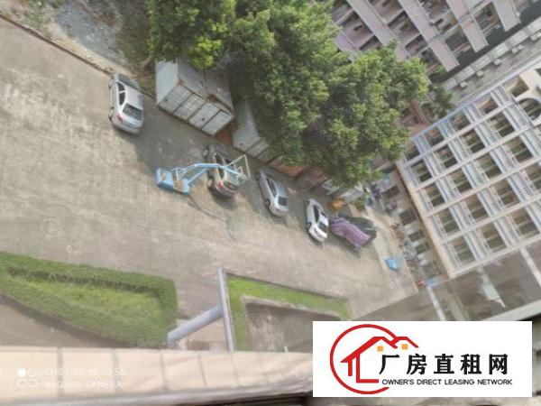  石碣原房东新出四楼非顶楼独门独院双电梯配备齐全交通方便