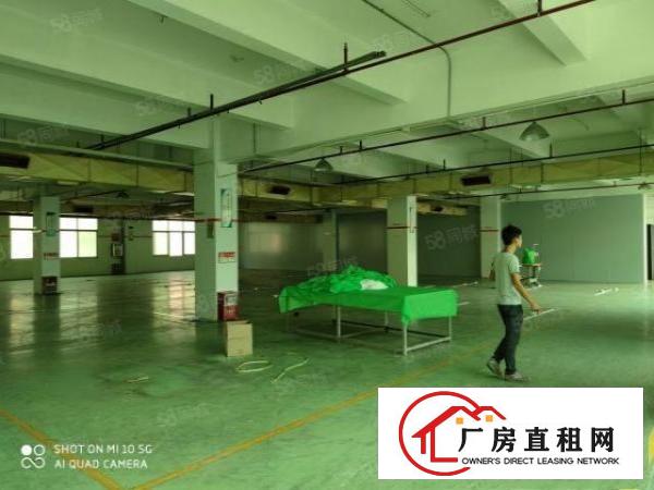  石碣原房东新出四楼非顶楼独门独院双电梯配备齐全交通方便