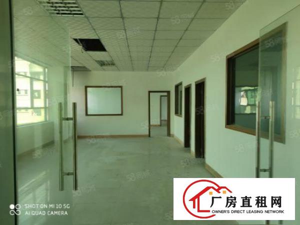  石碣新出标准厂房交通便利易招工环境好可办环评