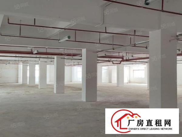  石碣新出标准厂房交通便利易招工环境好可办环评