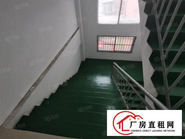  石碣镇独院厂房形象好2楼2750方空地大停车方便带装修