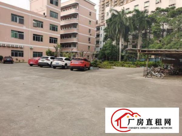  石碣镇独院厂房形象好2楼2750方空地大停车方便带装修