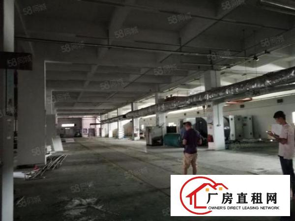  石碣四甲一手房东招租标准独院厂房一楼500平方，无公摊