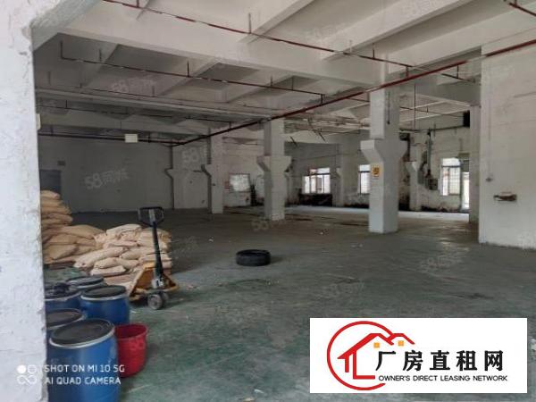  石碣原房东新出一楼厂房1000平方可办环评可分租