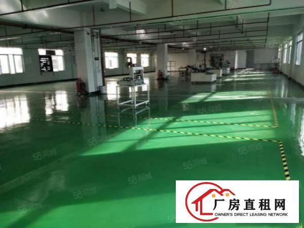 石碣镇新出标准厂房13层3000平方出租，报价15元！