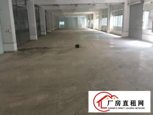  石碣镇新出标准厂房一楼600方二楼1200方，报价16元