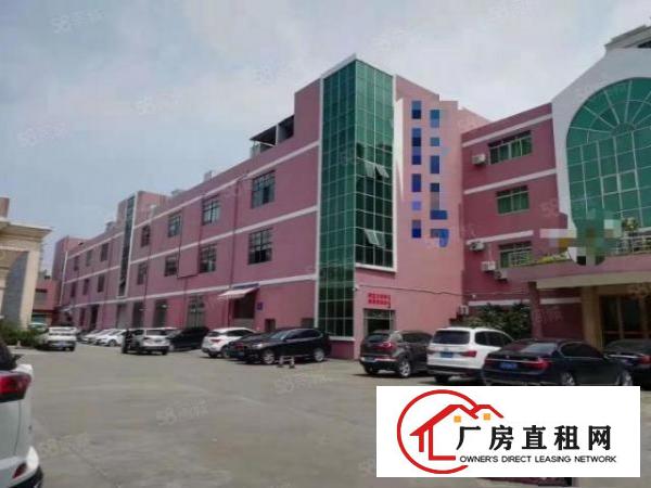  石碣镇工业区大小原房东厂房招租200一20000方都有