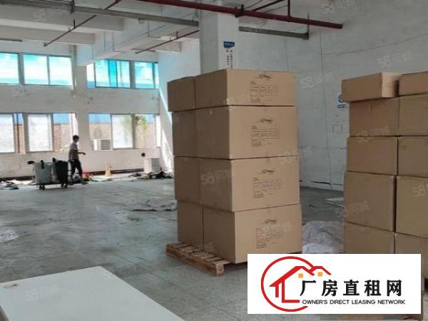  新出一楼独门独院标准厂房