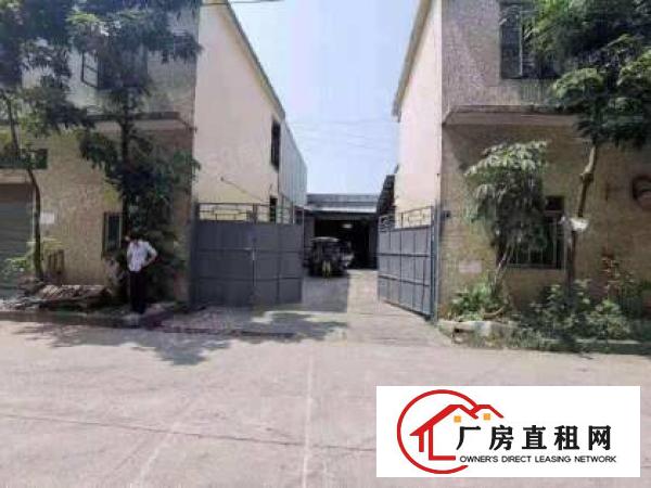  石碣环城路外经典单一层独院2000，租14元，层高7米！