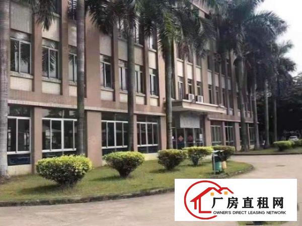  石碣环城路外经典单一层独院2000，租14元，层高7米！