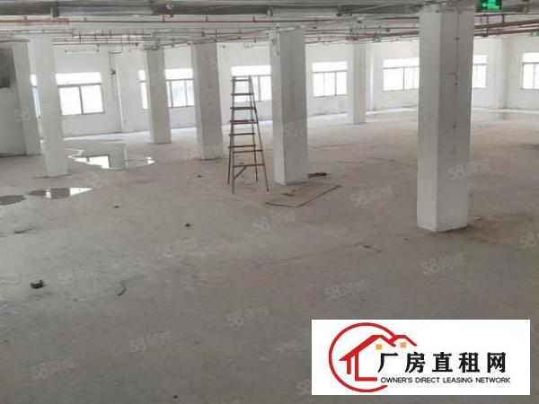 石碣标准工业区厂房二楼1500平方3吨标准电梯可办环评