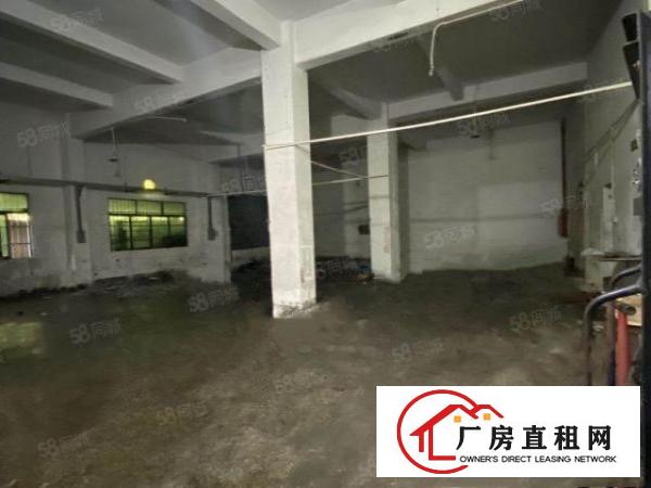  石碣水南标准独院厂房招租一楼400平方，现成办公室！