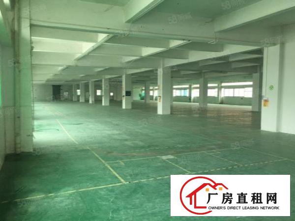  新出一楼标准厂房，价格实惠