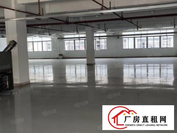  新出一楼标准厂房，价格实惠