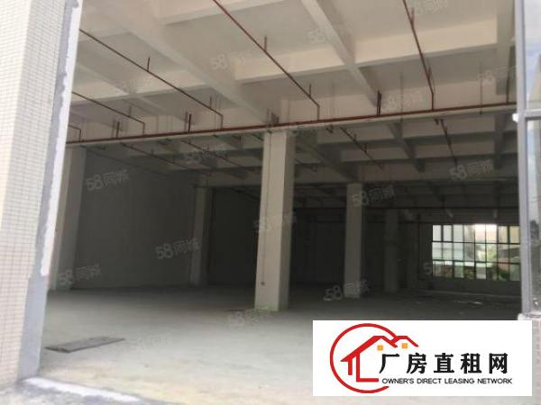  石碣刘屋一手房东直租标准独院厂房一楼400平方，价格可谈！