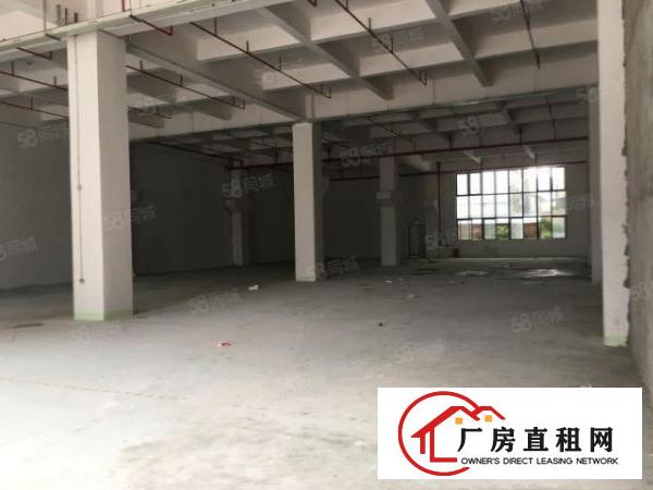  石碣刘屋一手房东直租标准独院厂房一楼400平方，价格可谈！