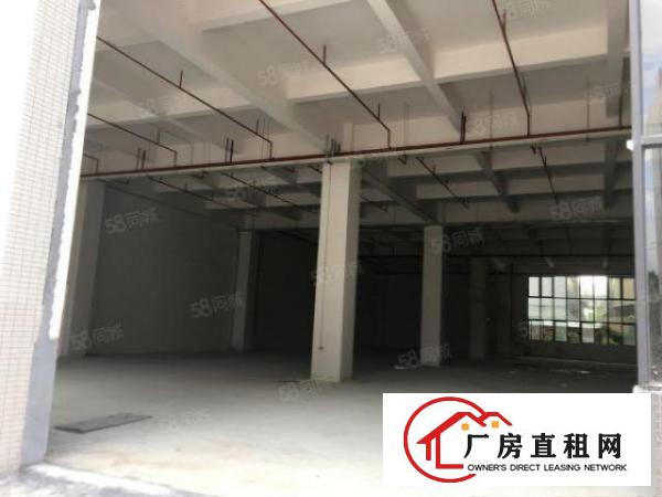  石碣刘屋一手房东直租标准独院厂房一楼400平方，价格可谈！