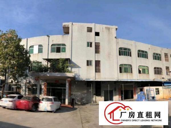  石碣桔洲独门独院标准厂房