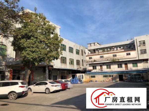  石碣桔洲独门独院标准厂房