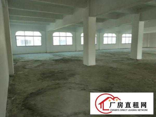  石碣桔洲独门独院标准厂房