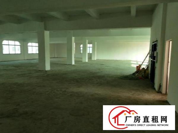  石碣桔洲独门独院标准厂房