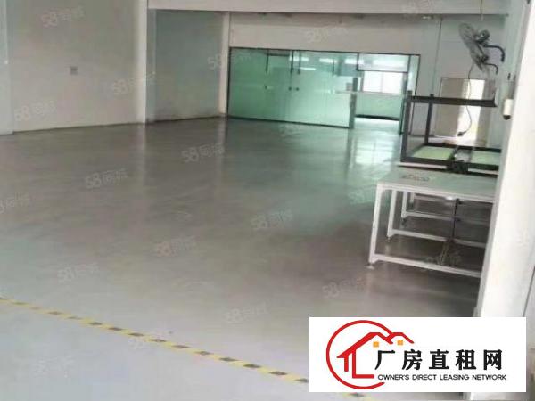  石碣西南新出一加二楼1000平，带装修，低价13元