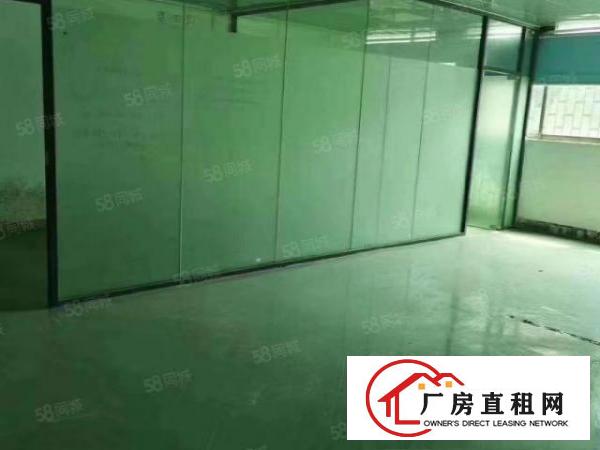  石碣西南新出一加二楼1000平，带装修，低价13元
