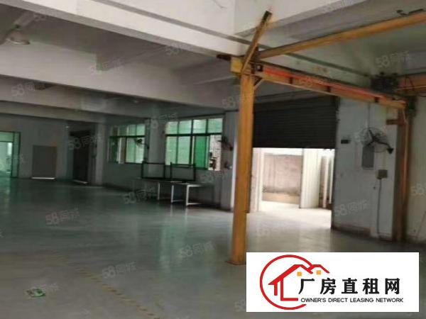  石碣西南新出一加二楼1000平，带装修，低价13元