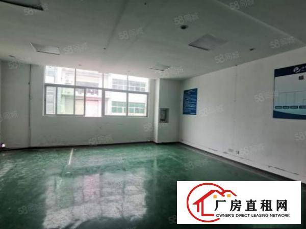  石碣西南新出一加二楼1000平，带装修，低价13元