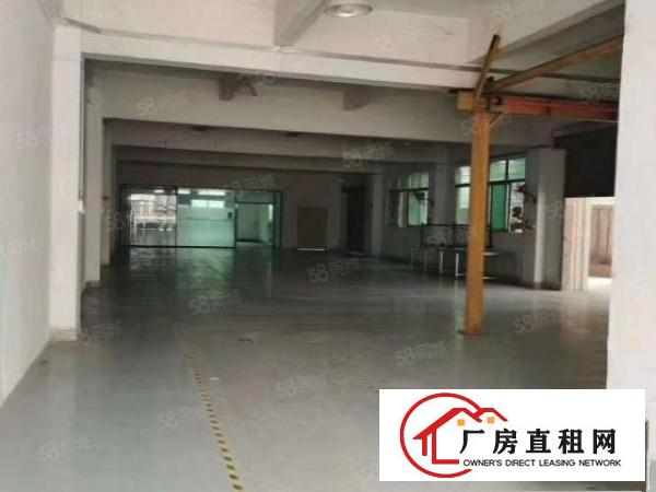  石碣西南新出一加二楼1000平，带装修，低价13元
