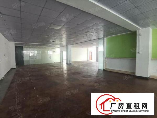  石碣西南新出一加二楼1000平，带装修，低价13元